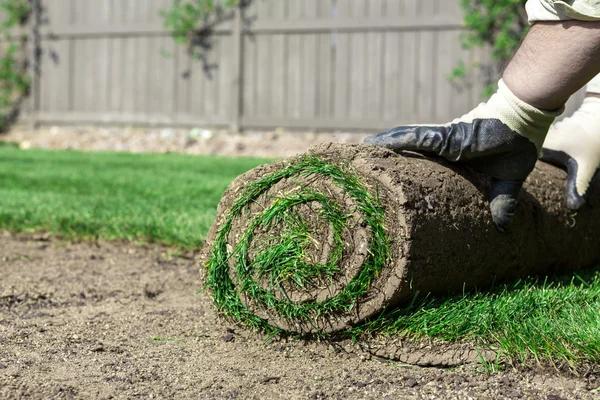 Top-Rated Landscaping Services in Casselberry You Can Trust