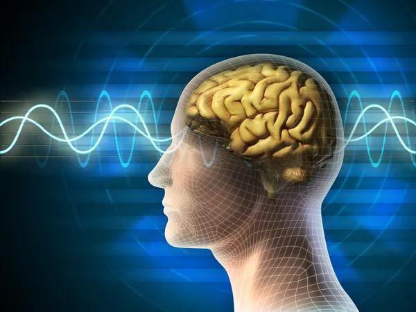 How behavioral therapy bloomfield supports personal growth