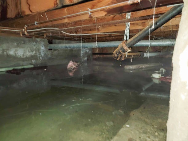 Trusted 2 Brothers Restoration for Fast Water & Property Recovery Services