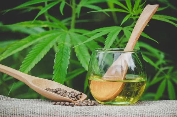 Understanding CBD Product Batches for Better Quality Control