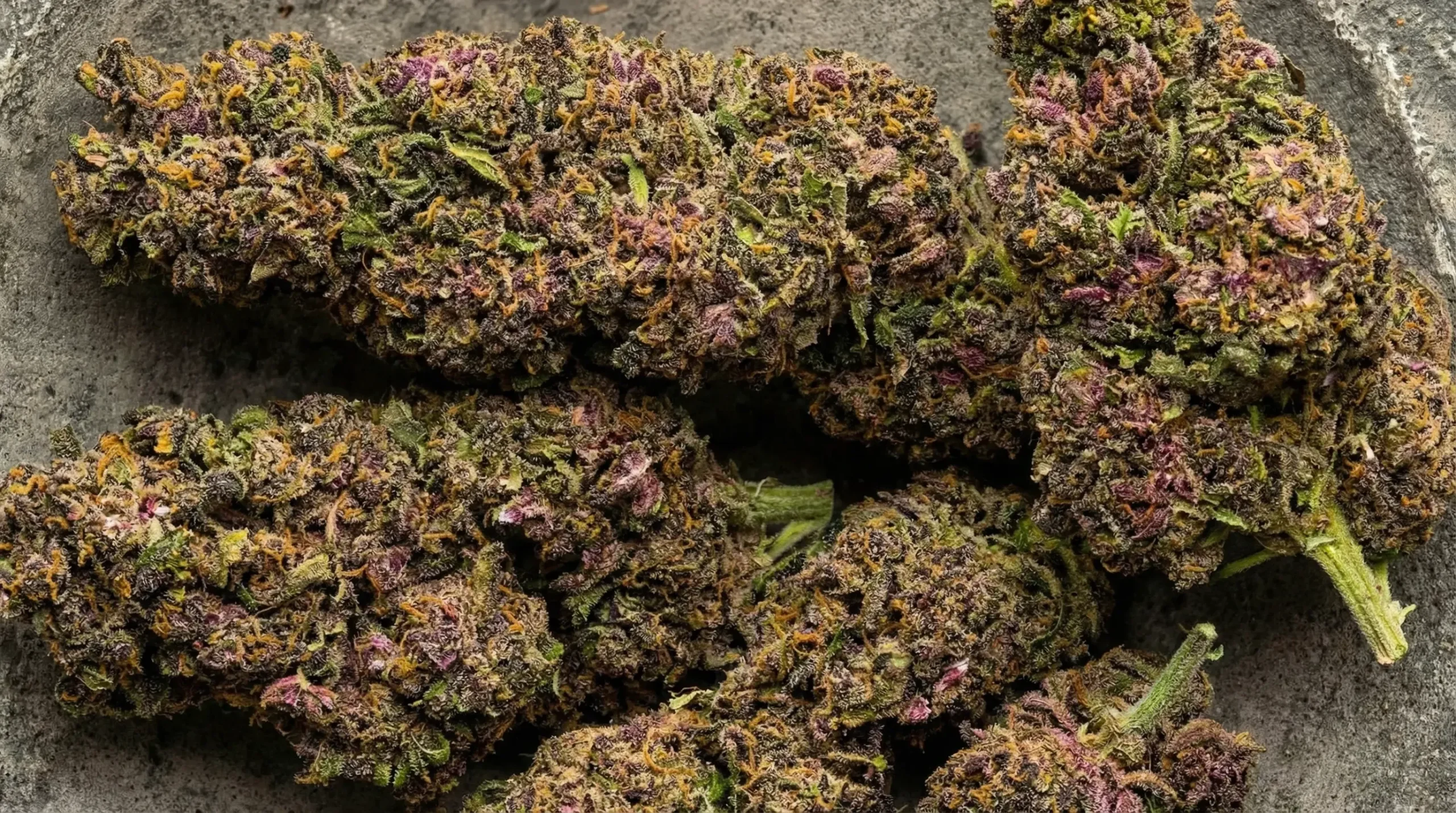 Local Buyers Can Explore Wiet Kopen Gent for Quality Cannabis Products