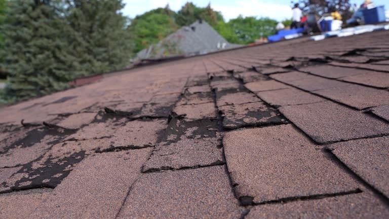 Roof Repair and Replacement With Solar Panels What to Know