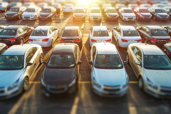 Questions to Ask Before Buying from a Car Dealership in Newton